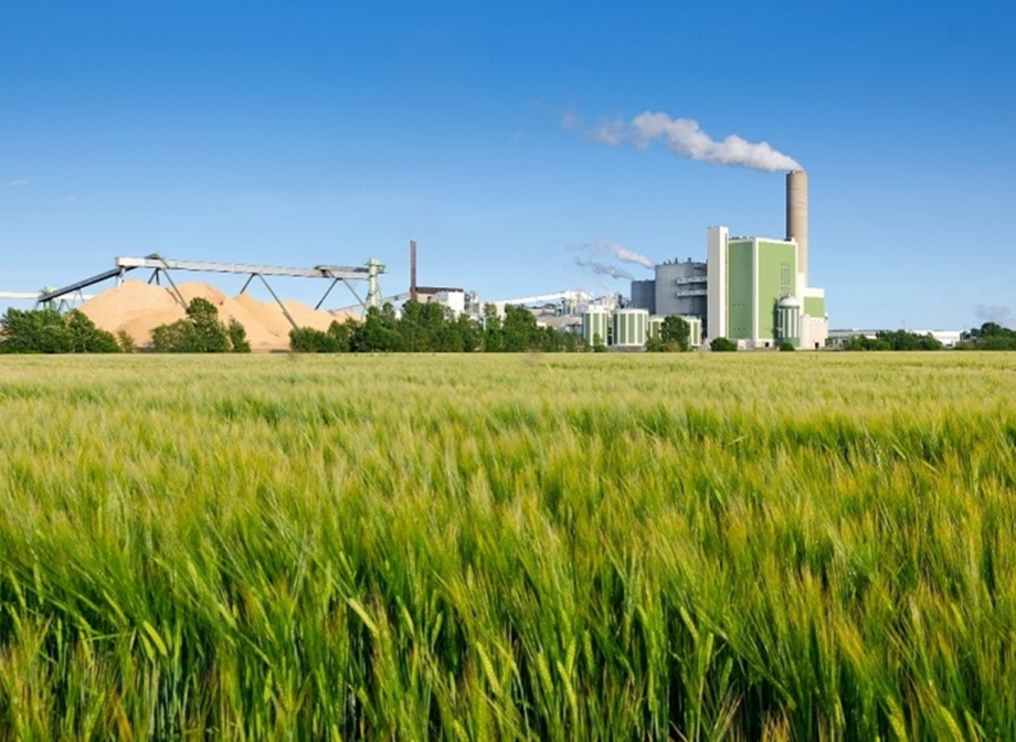 Strategic Energy Procurement Reduces Manufacturer’s Natural Gas Budget by 50%