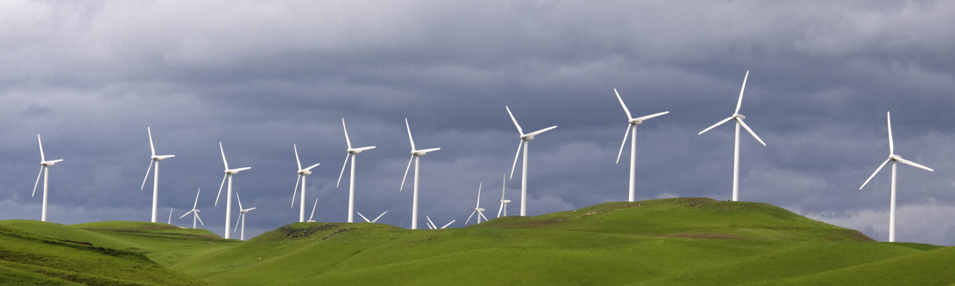 Renewable Energy Procurement