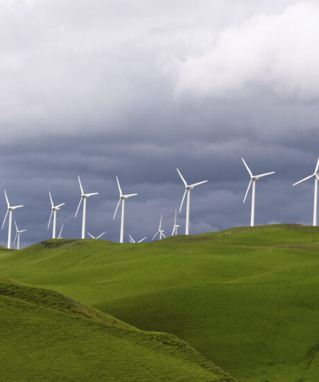 Sustainability