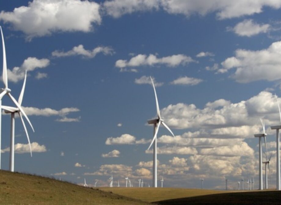 How wind’s record low prices are driving a ‘big build cycle’