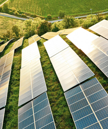 Sustainability