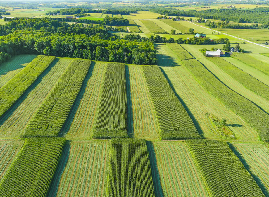 Tradition Helps SIUE Support Statewide Sustainability Goals, Achieving $1.5 Million Savings