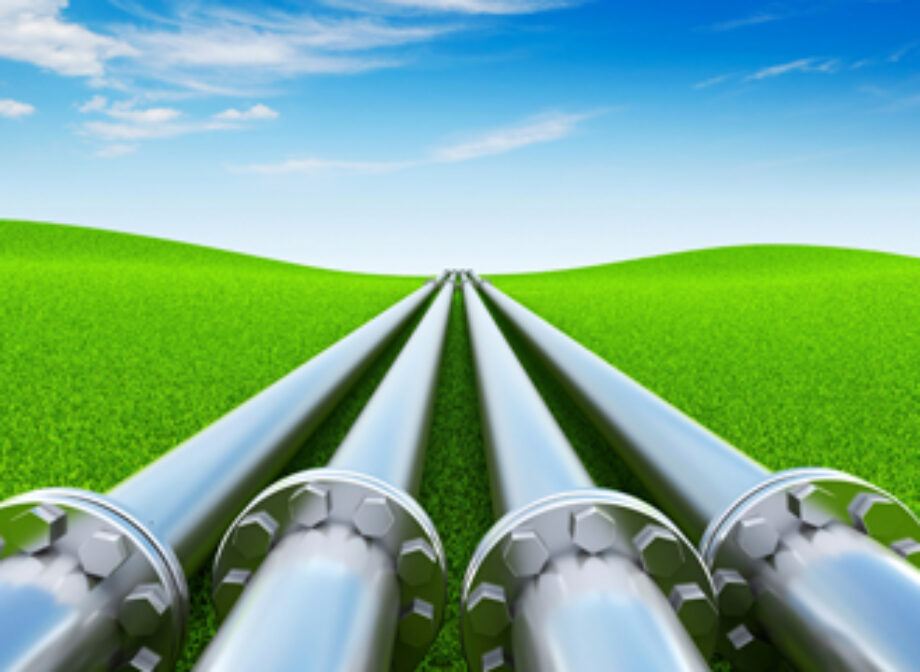Are you maximizing natural gas procurement opportunities in Florida or Georgia?