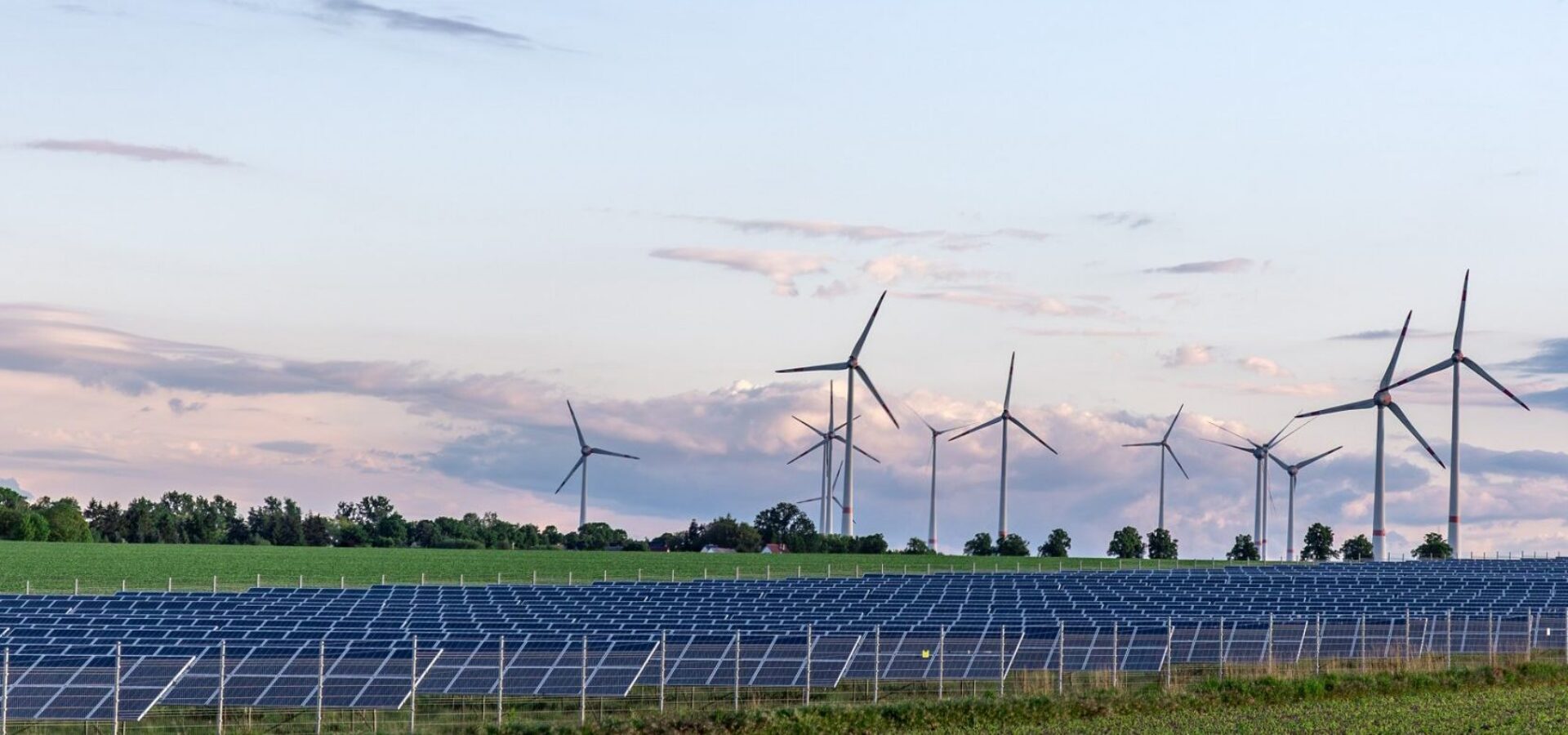 Sustainability