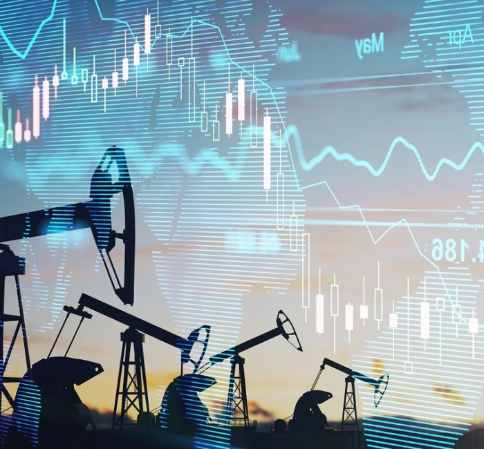 Energy Market Report Form